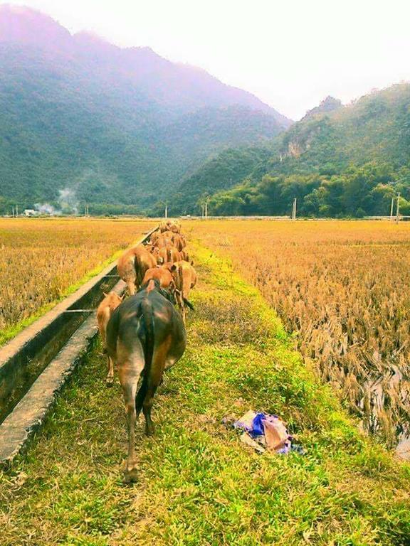 Hao Homestay Mai Chau Exterior foto