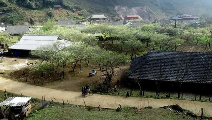 Hao Homestay Mai Chau Exterior foto